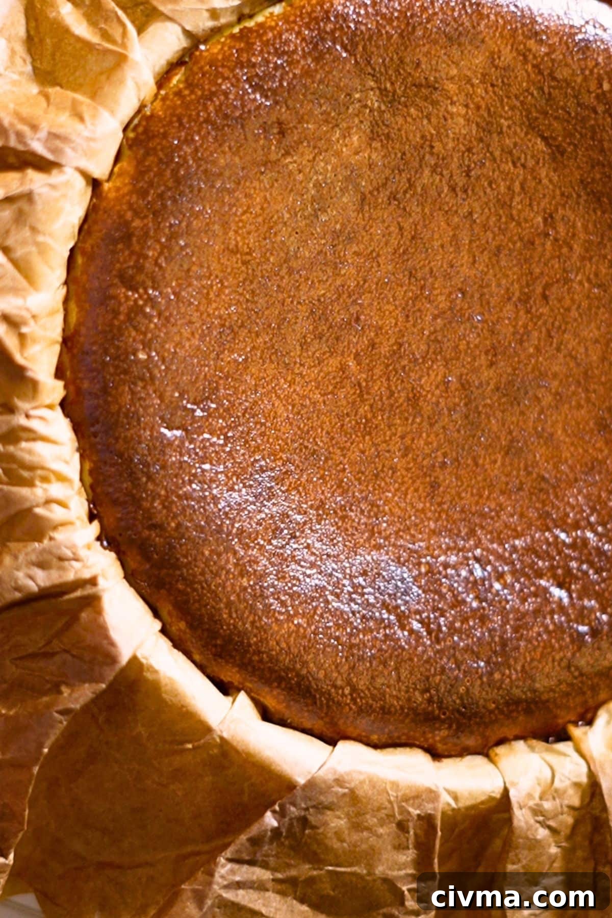 Basque Burnt Cheesecake Recipe 4 the top surface of burnt Basque cheesecake
