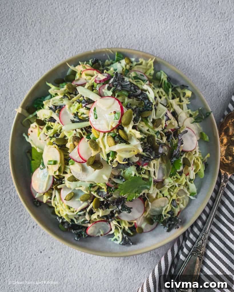 coleslaw with kale and radish