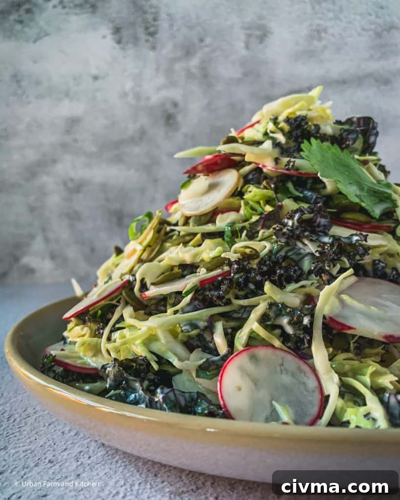 coleslaw with kale and radish