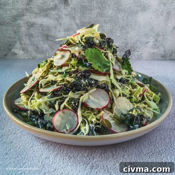 Coleslaw with kale and radish
