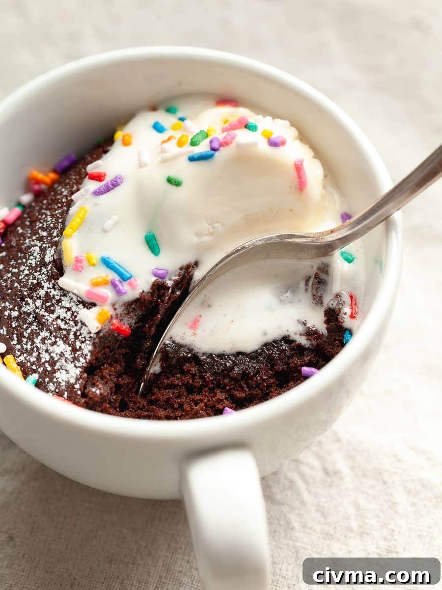 Gluten Free Air Fryer Chocolate Cake Recipe 2 a gluten free air fryer chocolate cake baked in a small coffee mug, topped with ice cream and sprinkles