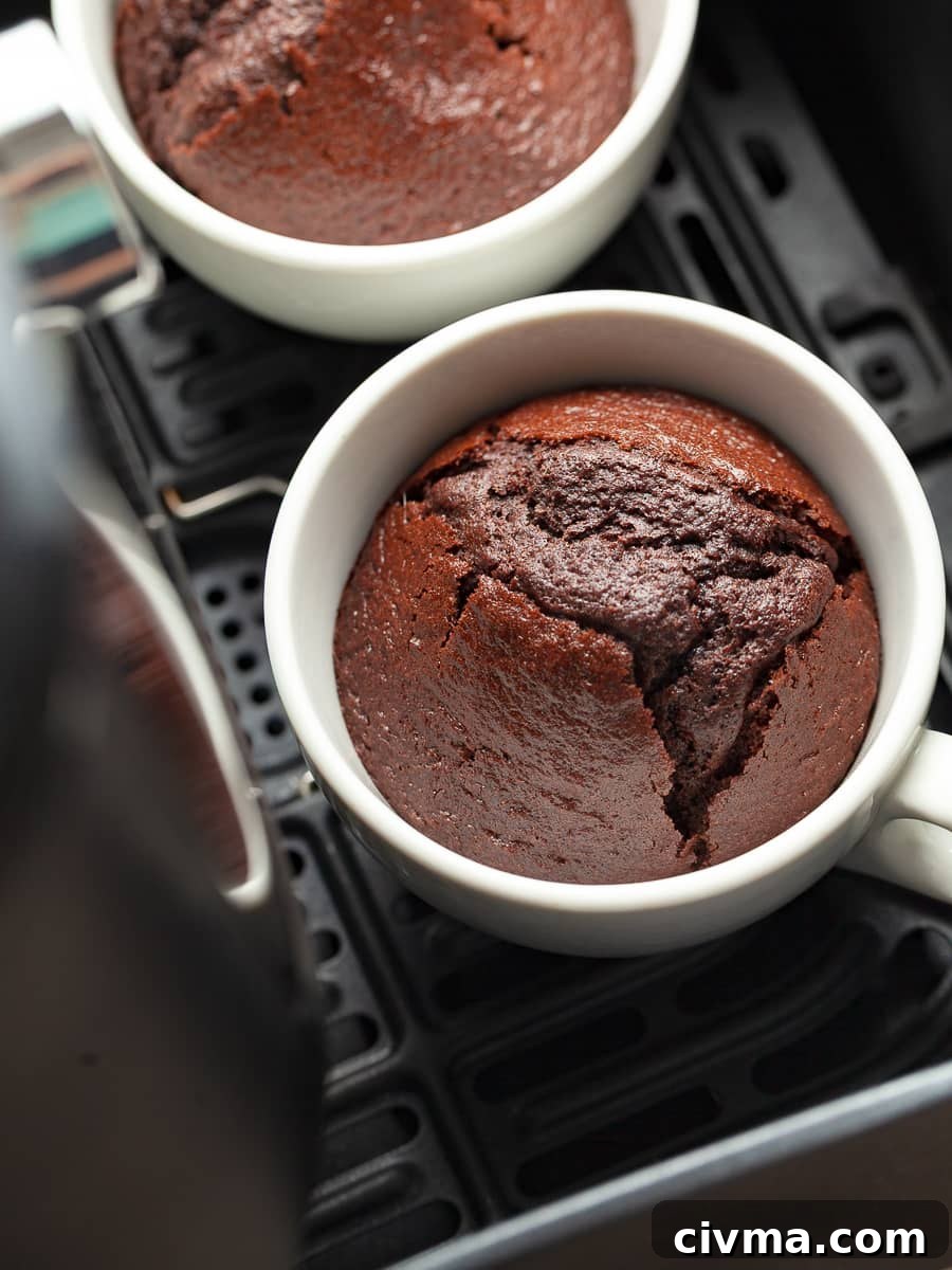 Gluten Free Air Fryer Chocolate Cake Recipe 14 gluten free air fryer chocolate cake in the air fryer basket