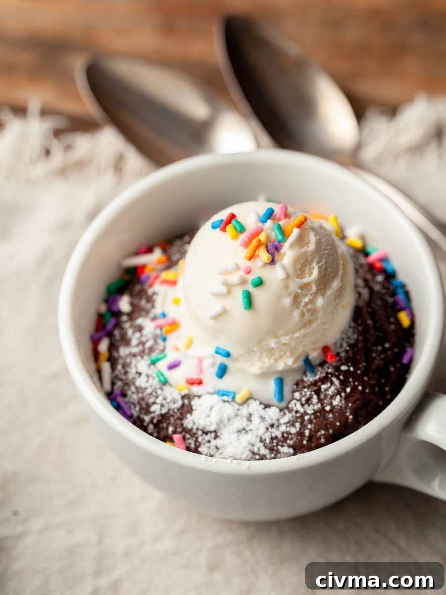 Gluten Free Air Fryer Chocolate Cake Recipe 15 a gluten free air fryer chocolate cake baked in a small coffee mug, topped with ice cream and sprinkles