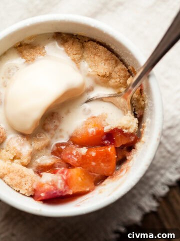 Close-up of a warm air fryer peach cobbler in a white ramekin, topped with melting vanilla ice cream and a crumbly golden biscuit topping.