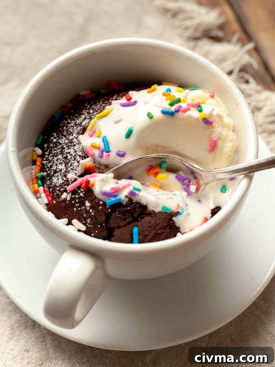 Gluten Free Air Fryer Chocolate Cake Recipe 4 gluten free air fryer chocolate cake served in a mug
