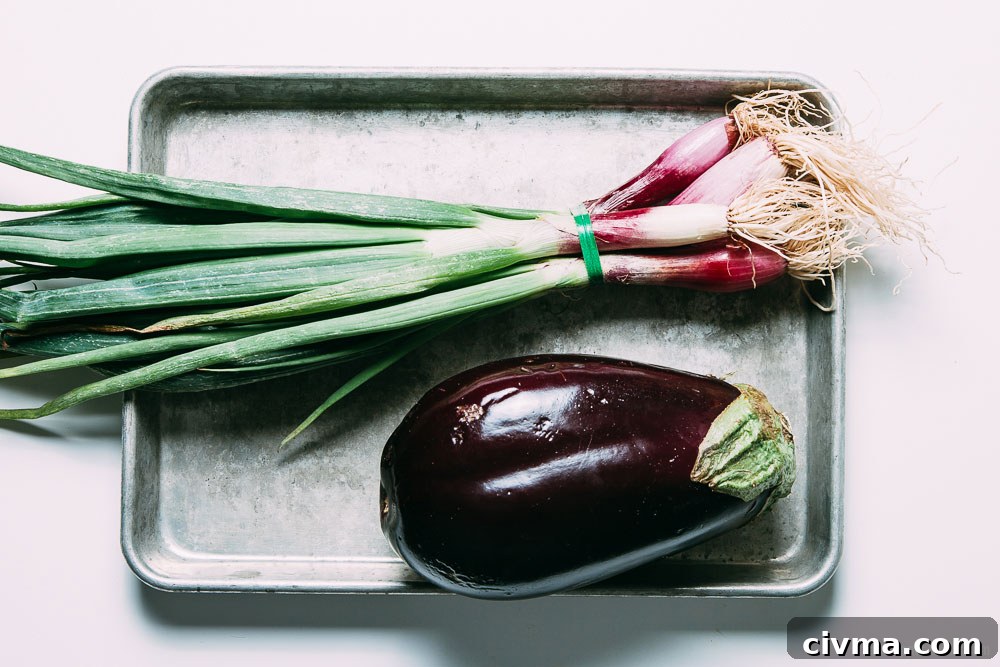 Grilled Spring Onion and Eggplant Pizza