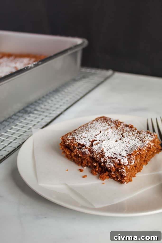 gluten free gingerbread sitting on a white plate