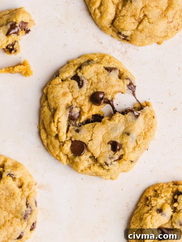 A close up shot of a whole wheat chocolate chip cookie with gooey chocolate.