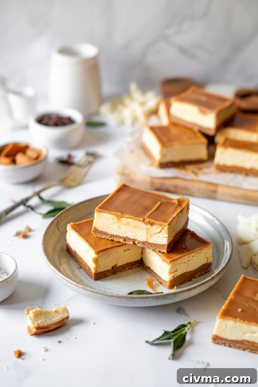 Salted Caramel Frozen Cheesecake Bars (The Pioneer Woman)