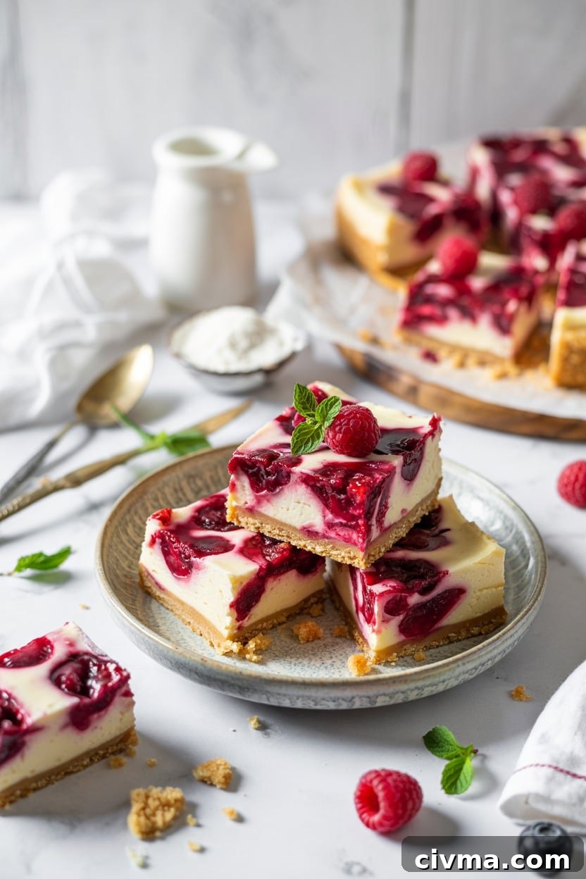 Raspberry Swirl Frozen Cheesecake Bars (Imagelicious)