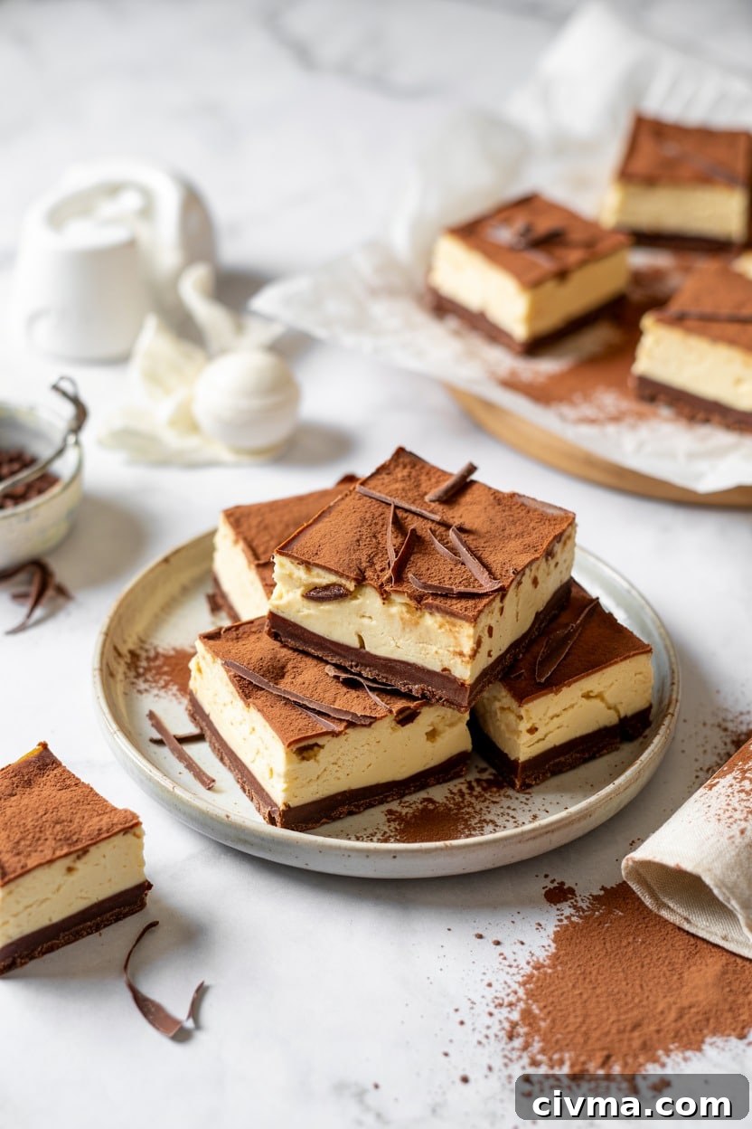 Chocolate Fudge Frozen Cheesecake Bars (Brown Eyed Baker)