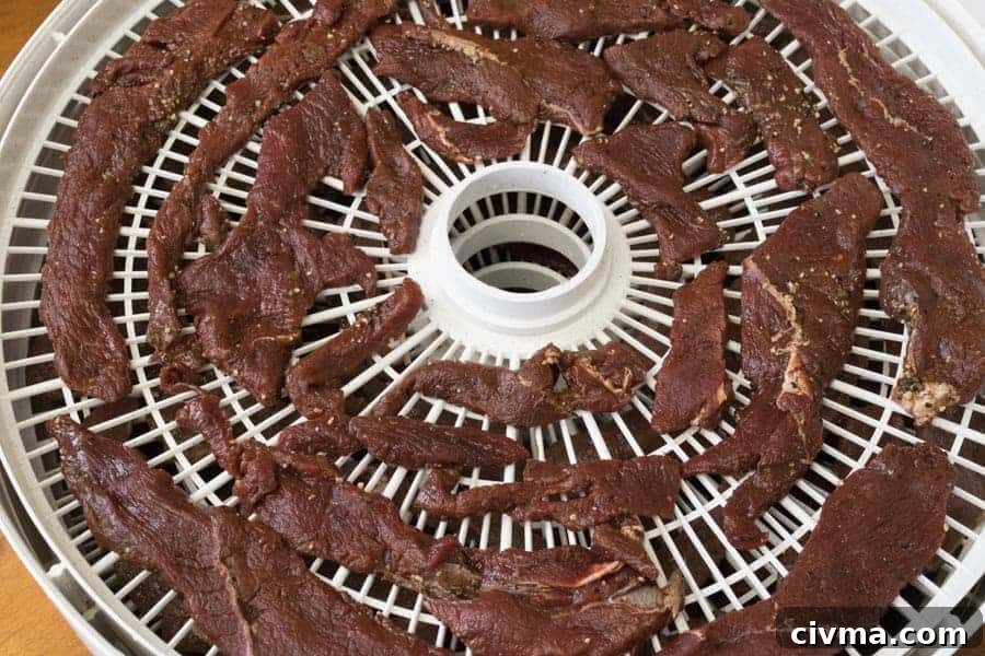 Elk jerky on dehydrator trays