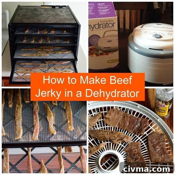 Learn how to make Beef Jerky in a dehydrator. It's easy, fast, and delicious! | Jerkyholic.com