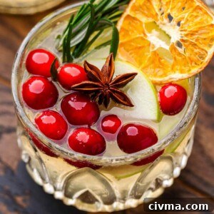 Christmas sangria in rocks glass for featured image.