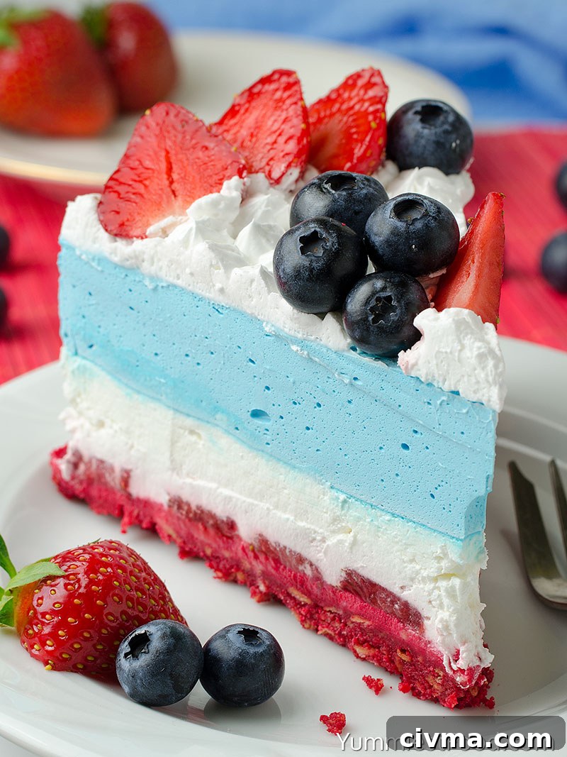 No Bake Summer Berry Cheesecake - served on the plate
