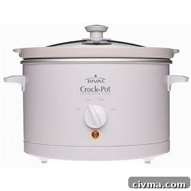 Rival Crock-Pot Giveaway Winner Announced 2 Foodie Freebie Friday in Chicago