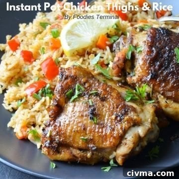 bone in skin on chicken thighs and white rice served on a black plate with lemon wedge