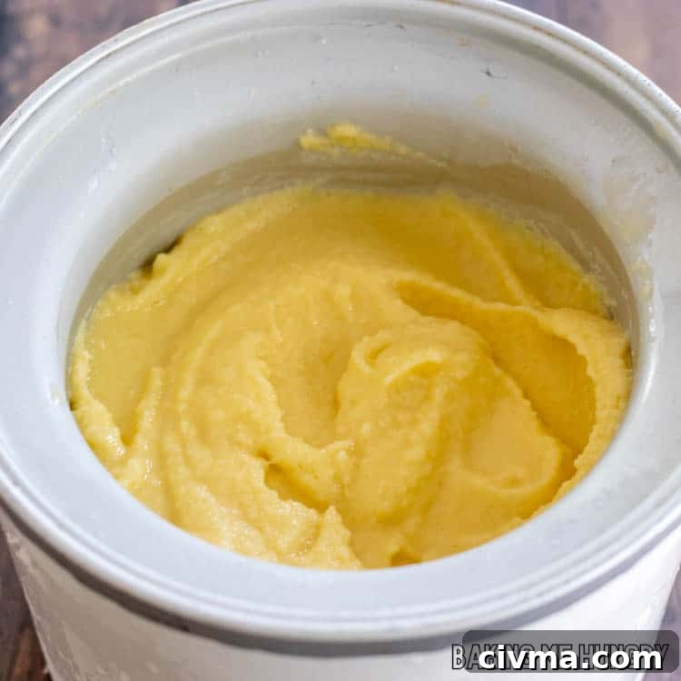 Creamy Mango Coconut Ice Cream Recipe 9 ice cream machine with frozen base