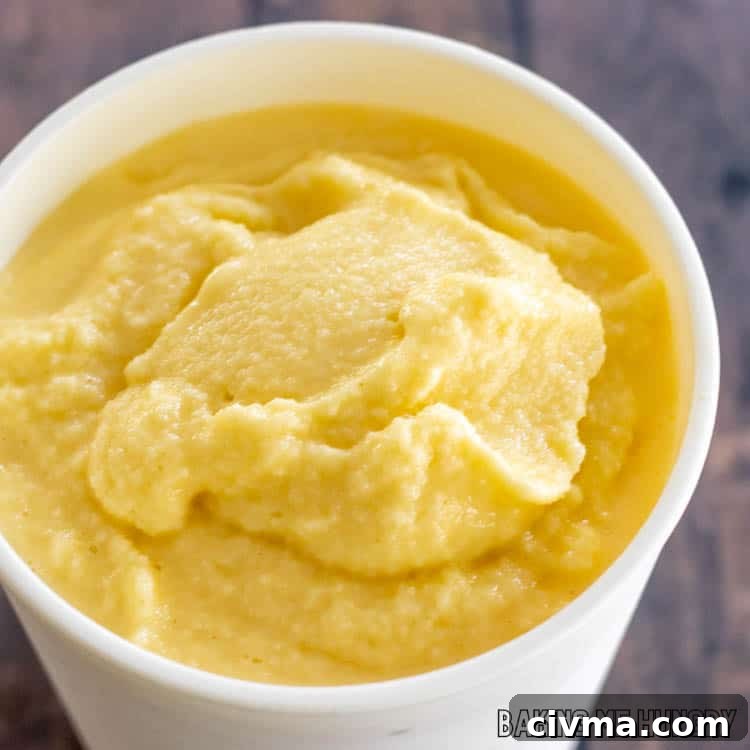 Creamy Mango Coconut Ice Cream Recipe 10 churned ice cream in carton