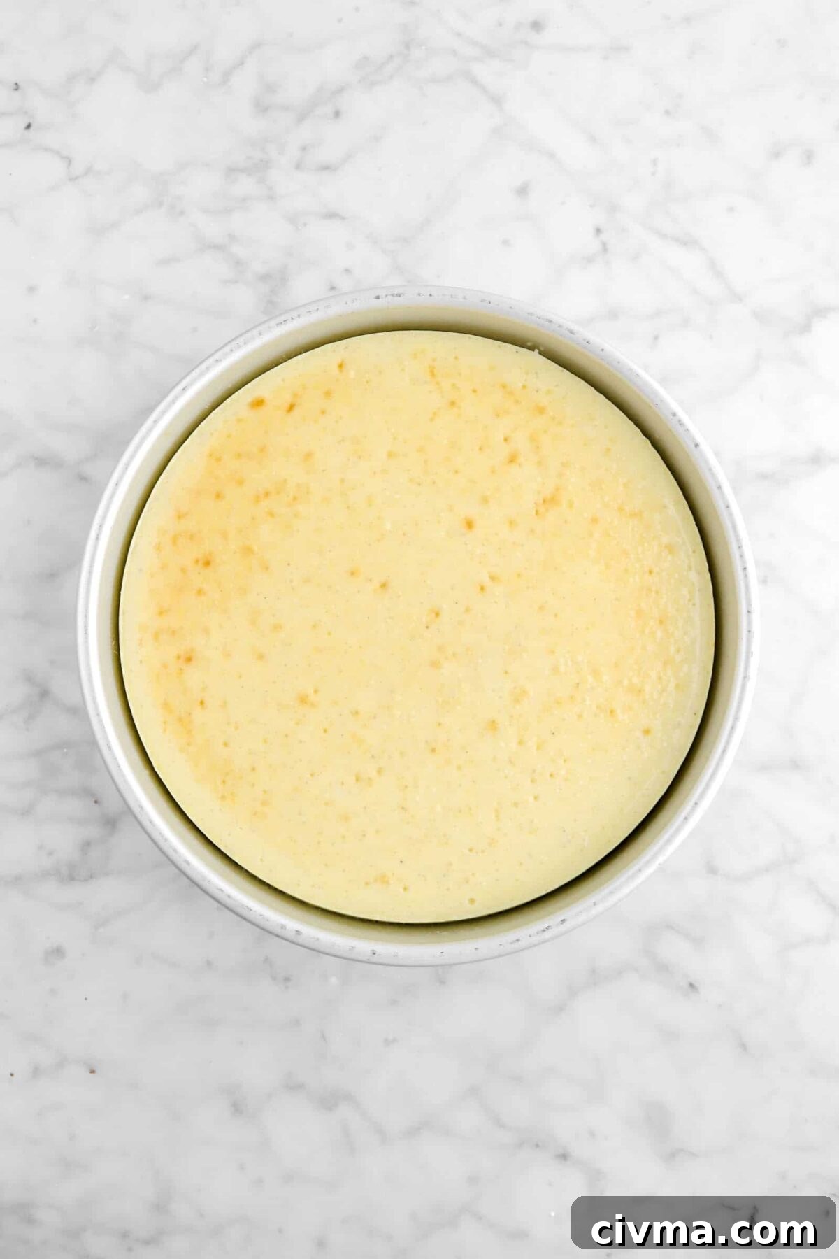 baked and cooled cheesecake in pan