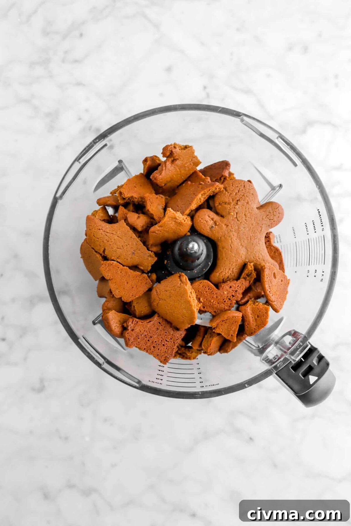 gingerbread cookies in food processor