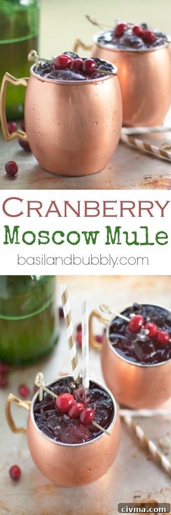 Cranberry Moscow Mule Recipe