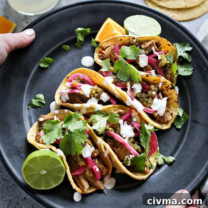 photo of a plate with shredded pork tacos