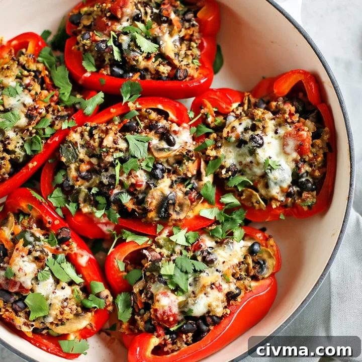 quinoa stuffed peppers in a white baking dish on a grey background
