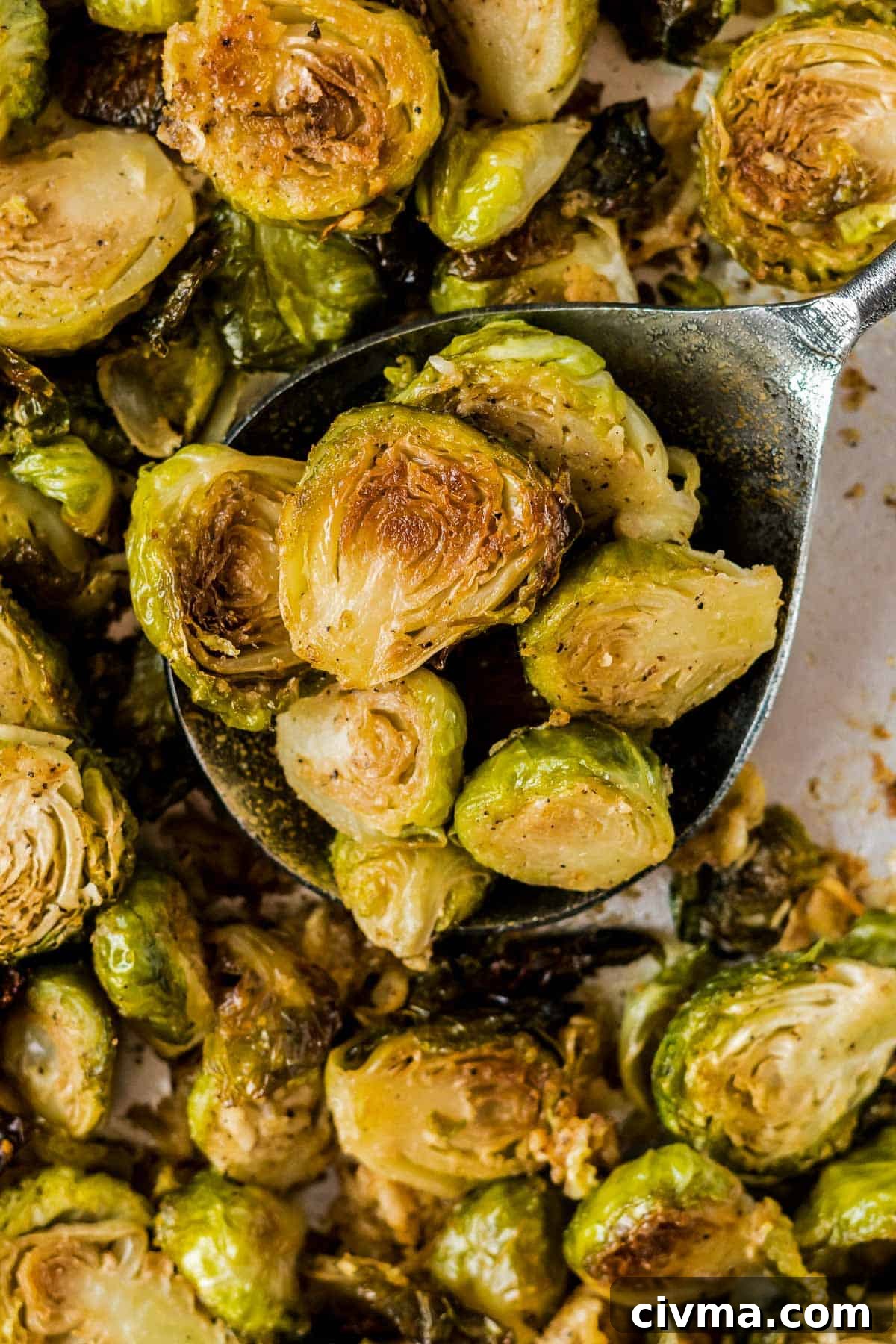 parmesan roasted brussels sprouts