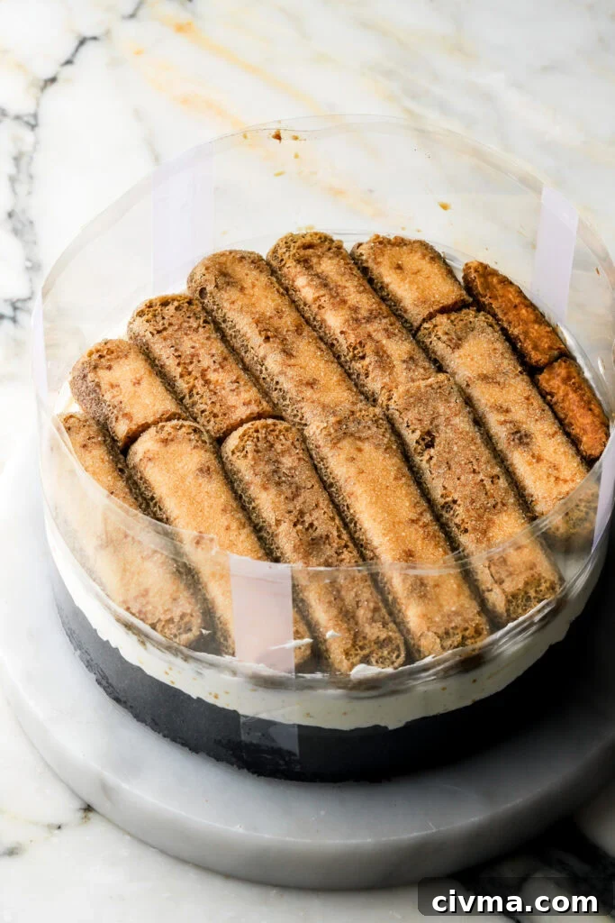 lady fingers layered into black cocoa cake