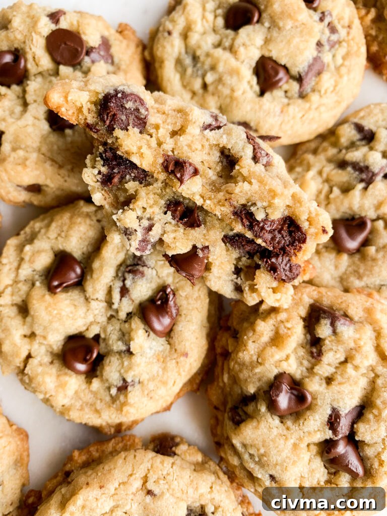 Chewy, buttery chocolate chip cookies with the addition of ground rolled oats!