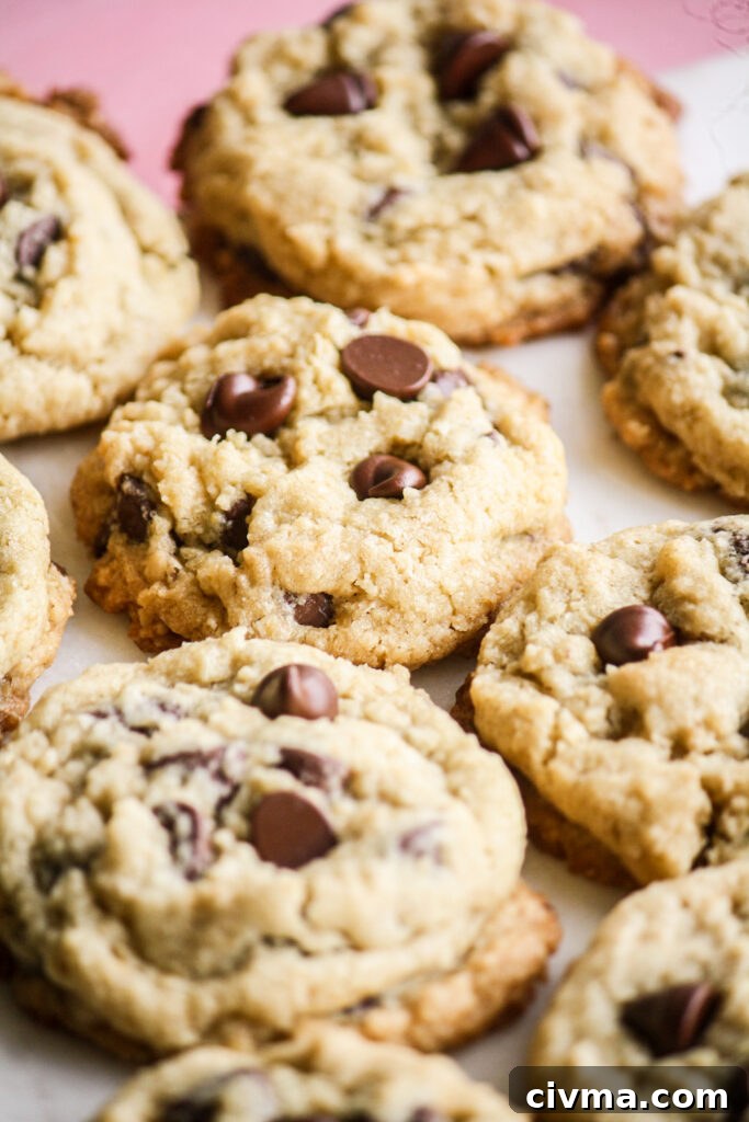 Chewy, buttery chocolate chip cookies with the addition of ground rolled oats!