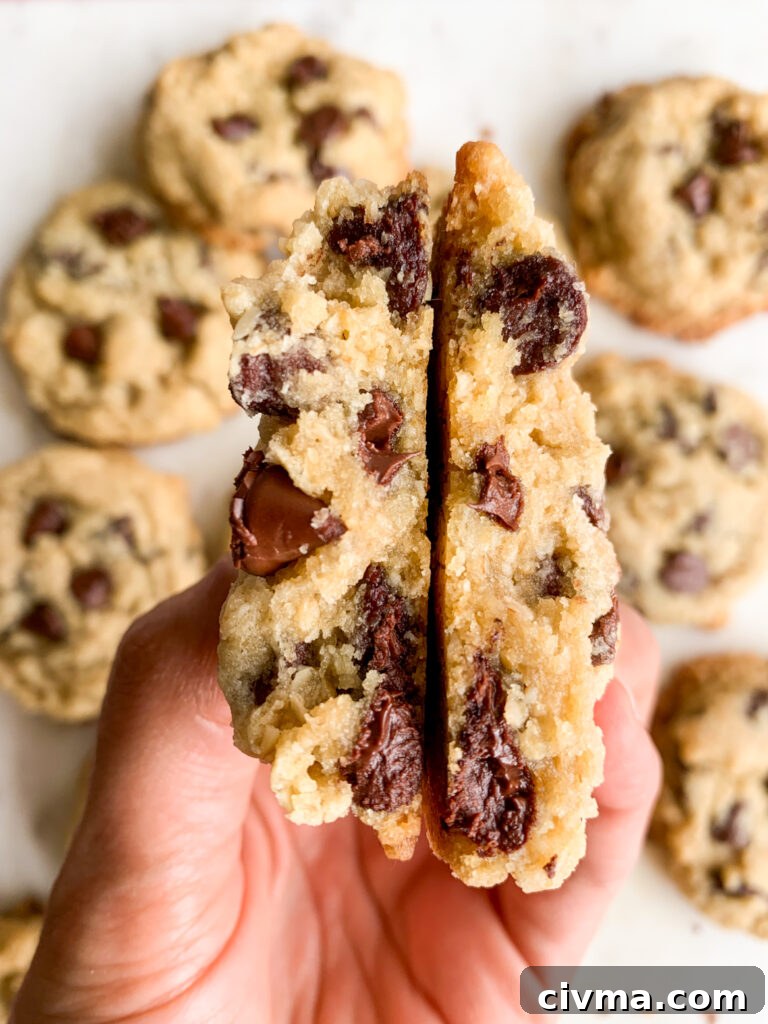 Chewy, buttery chocolate chip cookies with the addition of ground rolled oats!