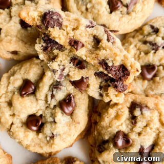 Chewy, buttery chocolate chip cookies with the addition of ground rolled oats!
