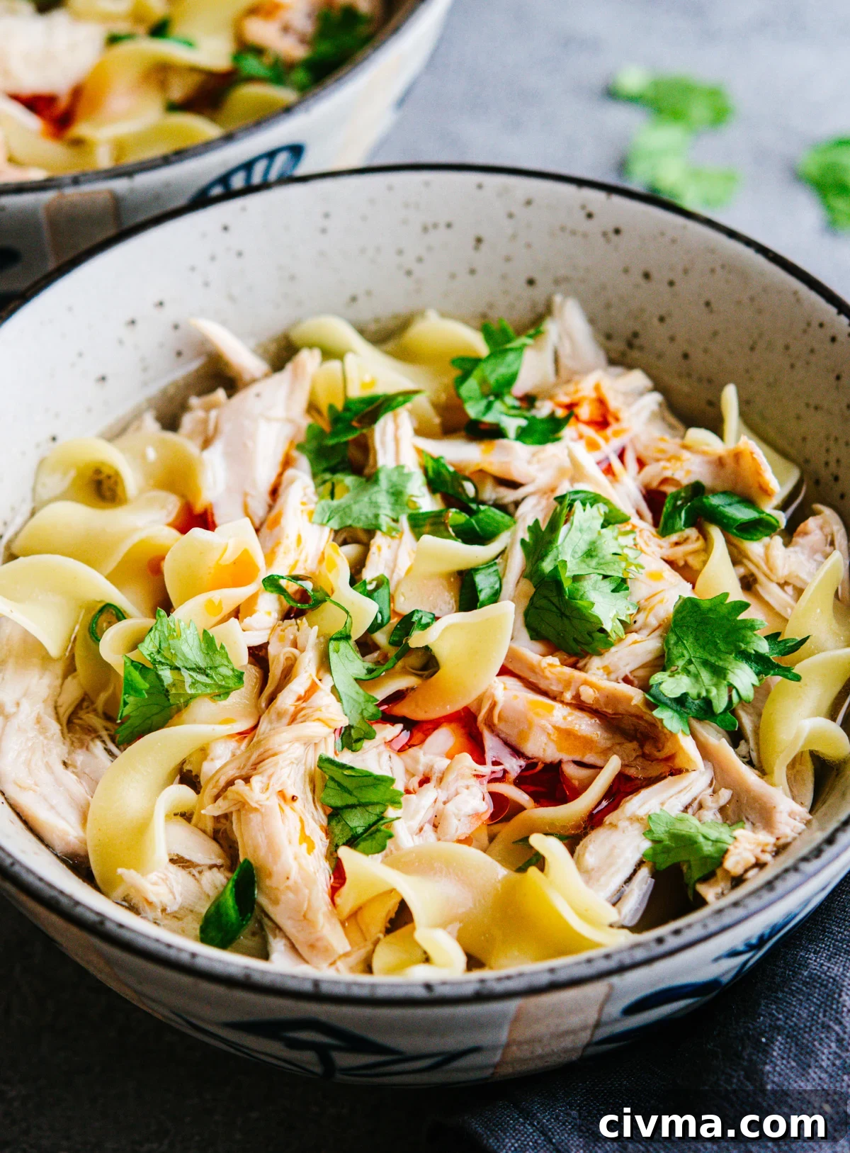 Spicy Chicken Noodle Soup Recipe 2 Spicy Chicken Noodle Soup served in light gray soup bowls.