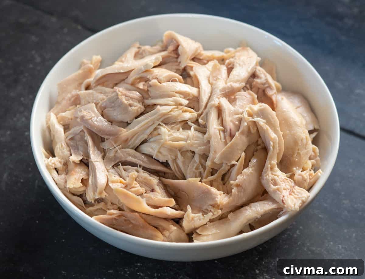 Spicy Chicken Noodle Soup Recipe 11 shredded chicken in bowl.