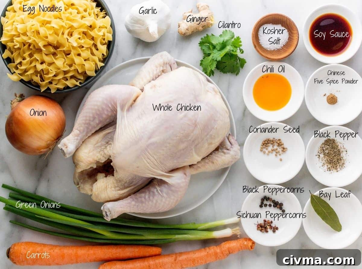 Spicy Chicken Noodle Soup Recipe 3 Spicy Chicken Noodle Soup Ingredients on a white marble board.