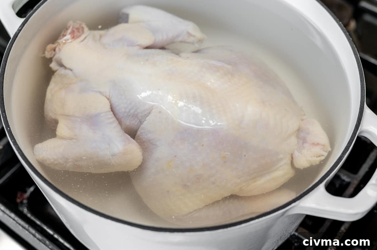 Spicy Chicken Noodle Soup Recipe 5 whole chicken covered in water in soup pot.