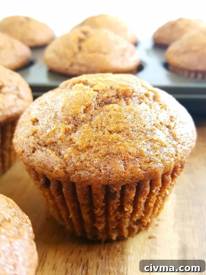 Pumpkin Applesauce Muffins - Moist pumpkin apple muffins made with oil, brown sugar, and no dairy. Easy to make, ready in 30 minutes, and perfect for a Fall breakfast or snack!