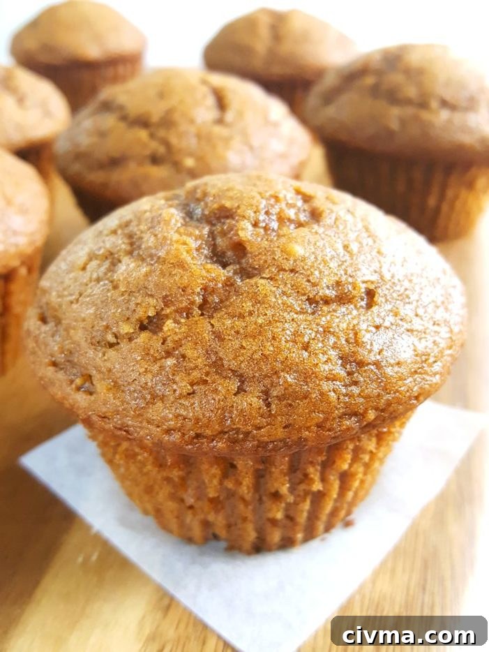 Pumpkin Applesauce Muffins - Moist pumpkin apple muffins made with oil, brown sugar, and no dairy. Easy to make, ready in 30 minutes, and perfect for a Fall breakfast or snack!