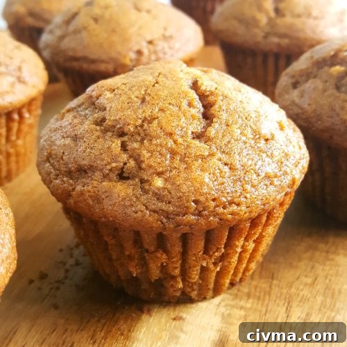 Pumpkin Applesauce Muffins