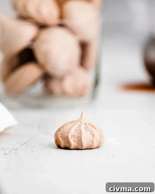 a single dark chocolate meringue cookie on a white surface with a cup full of cookies in the background
