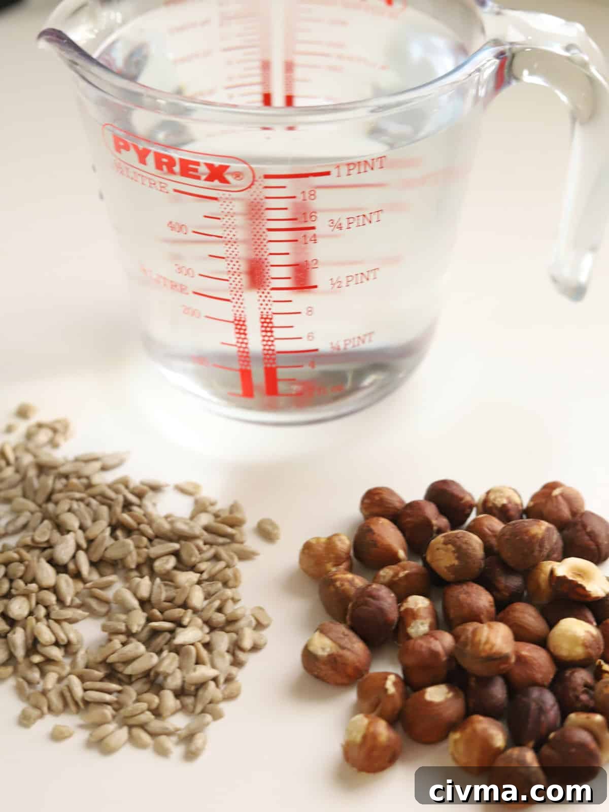 Hazelnut Sunflower Seed Milk Recipe 3 Photo of a jug of water and a pile of hazelnuts and pile of sunflower seeds on a white countertop.