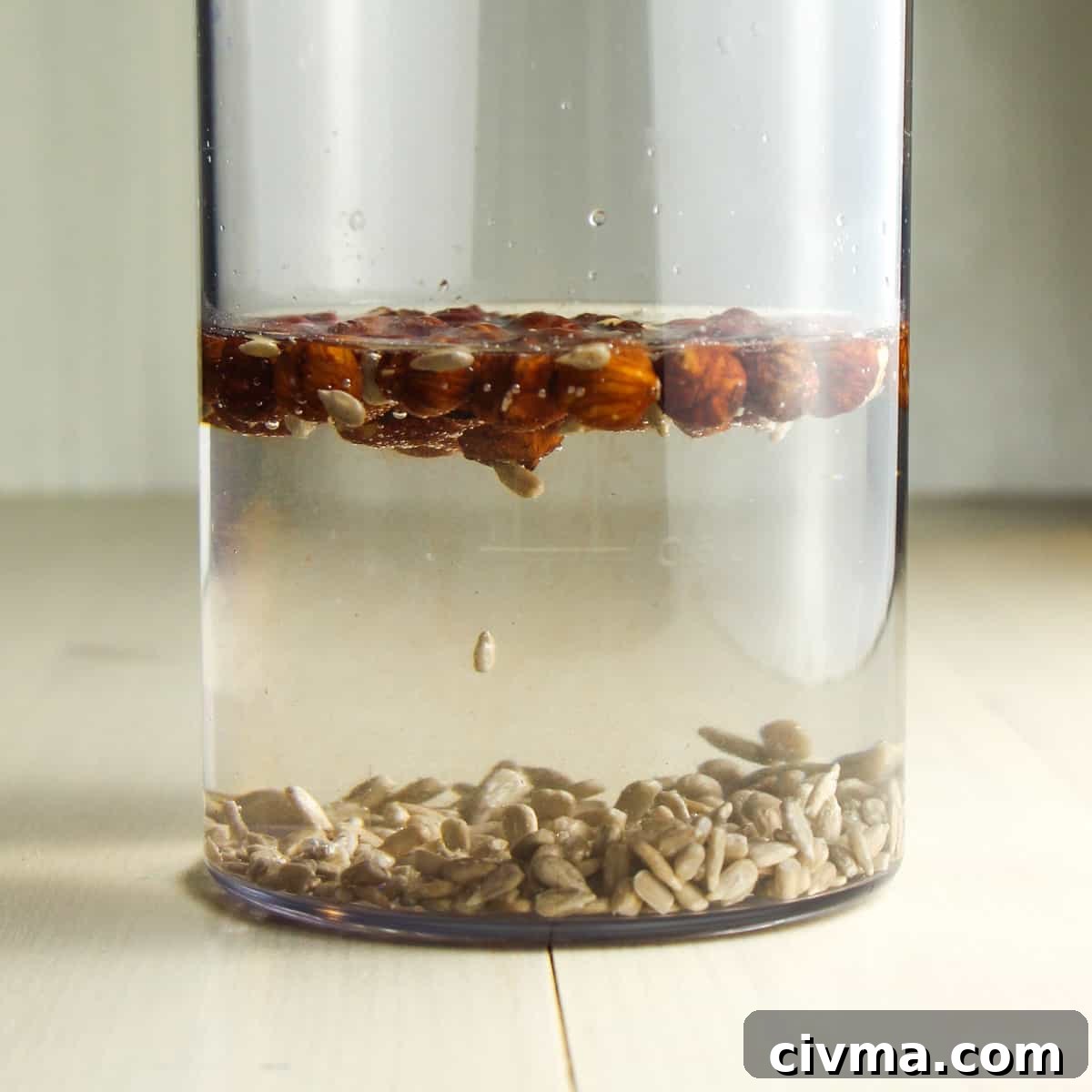 Hazelnut Sunflower Seed Milk Recipe 4 Photo of hazelnuts and sunflower seeds soaking in water in a glass jar.