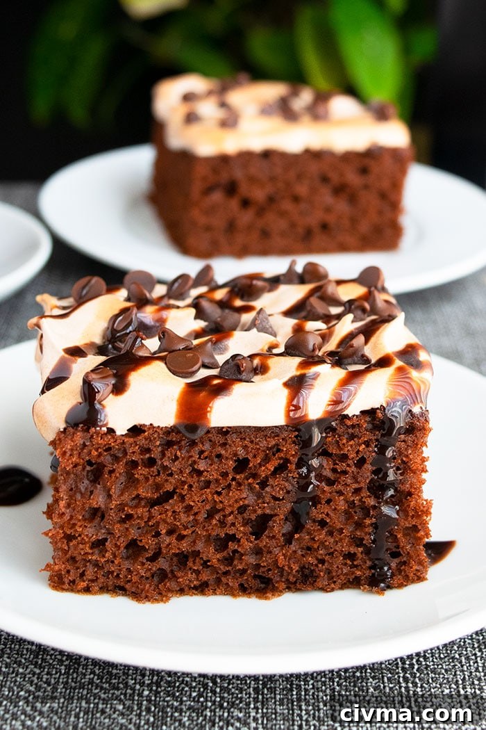 Easy Mexican Chocolate Cake With Brown Sugar Frosting and Ganache on White Plate 