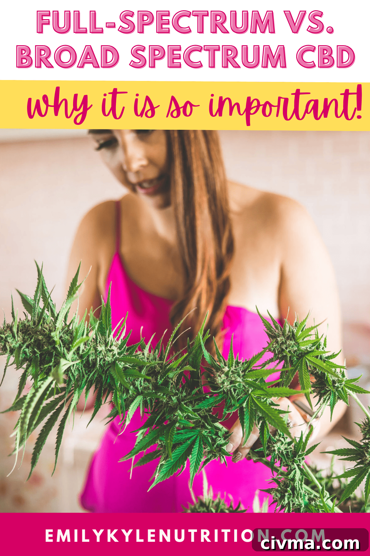 Full-Spectrum vs Broad-Spectrum CBD: Key Differences 2 Text stating: full-spectrum vs. broad-spectrum CBD, the important difference.