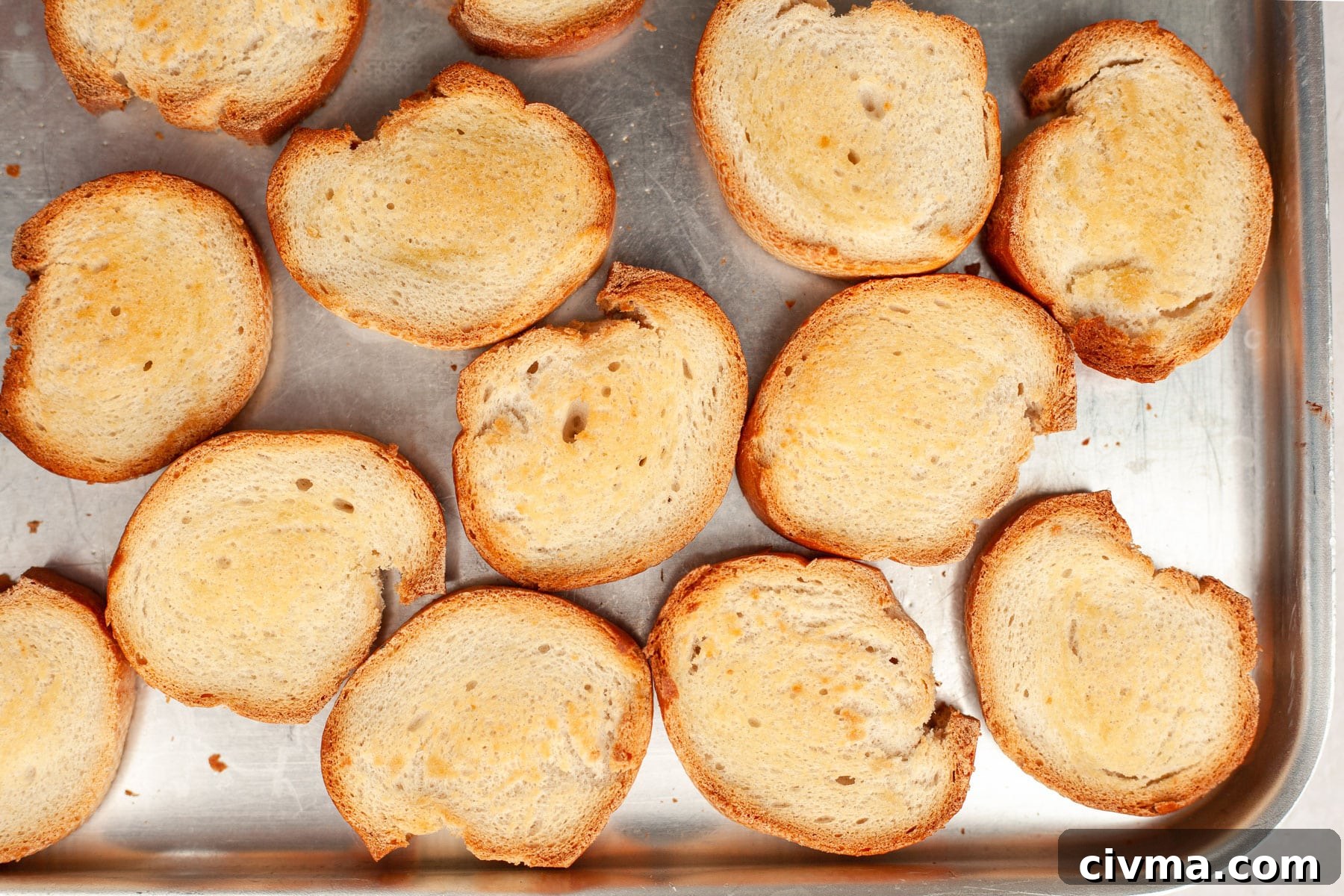 Golden toasted baguette slices topped with fresh tomato bruschetta