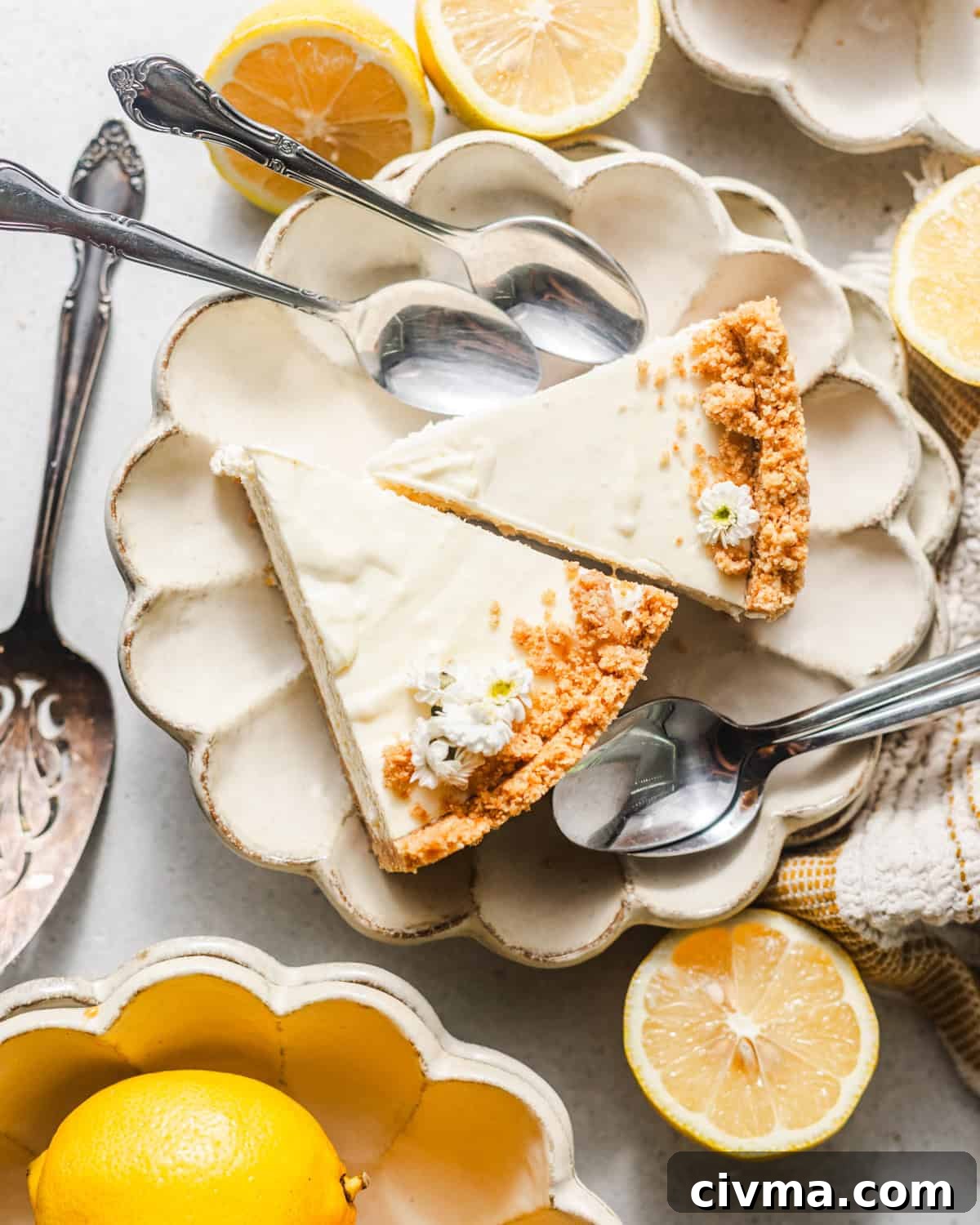 No Bake Lemon Icebox Pie with Graham Cracker Crust 10 overhead photo of no bake lemon icebox pie.