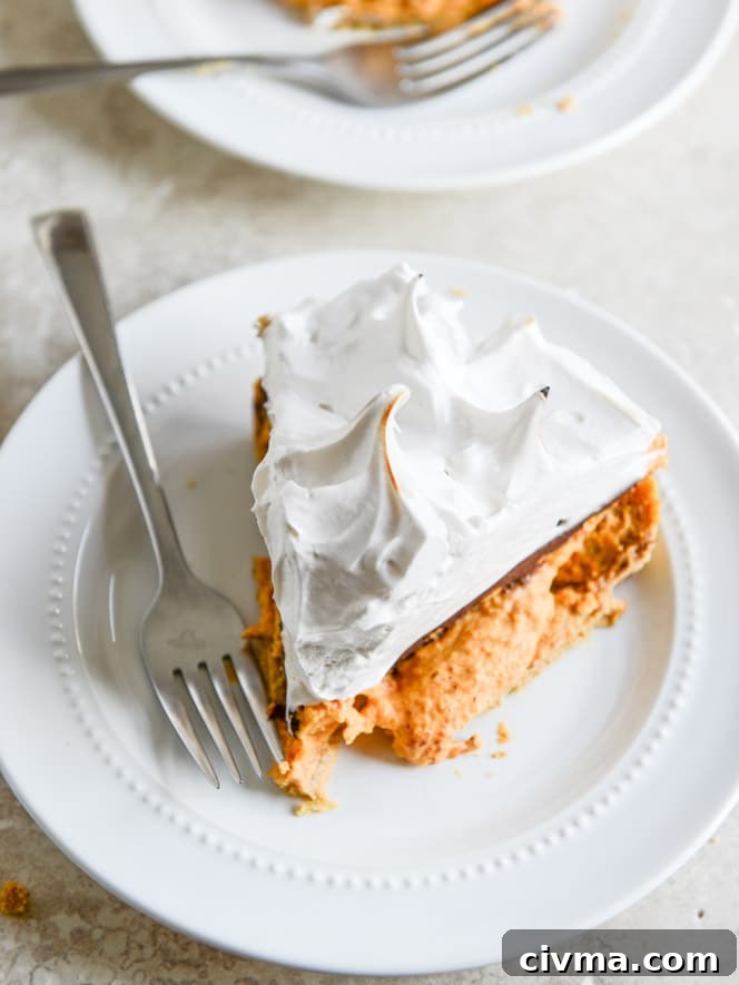pumpkin s'mores tart I howsweeteats.com