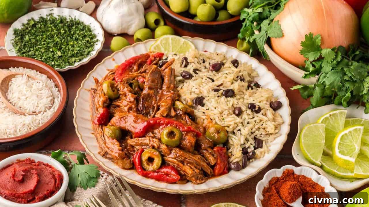 Ropa Vieja served with rice